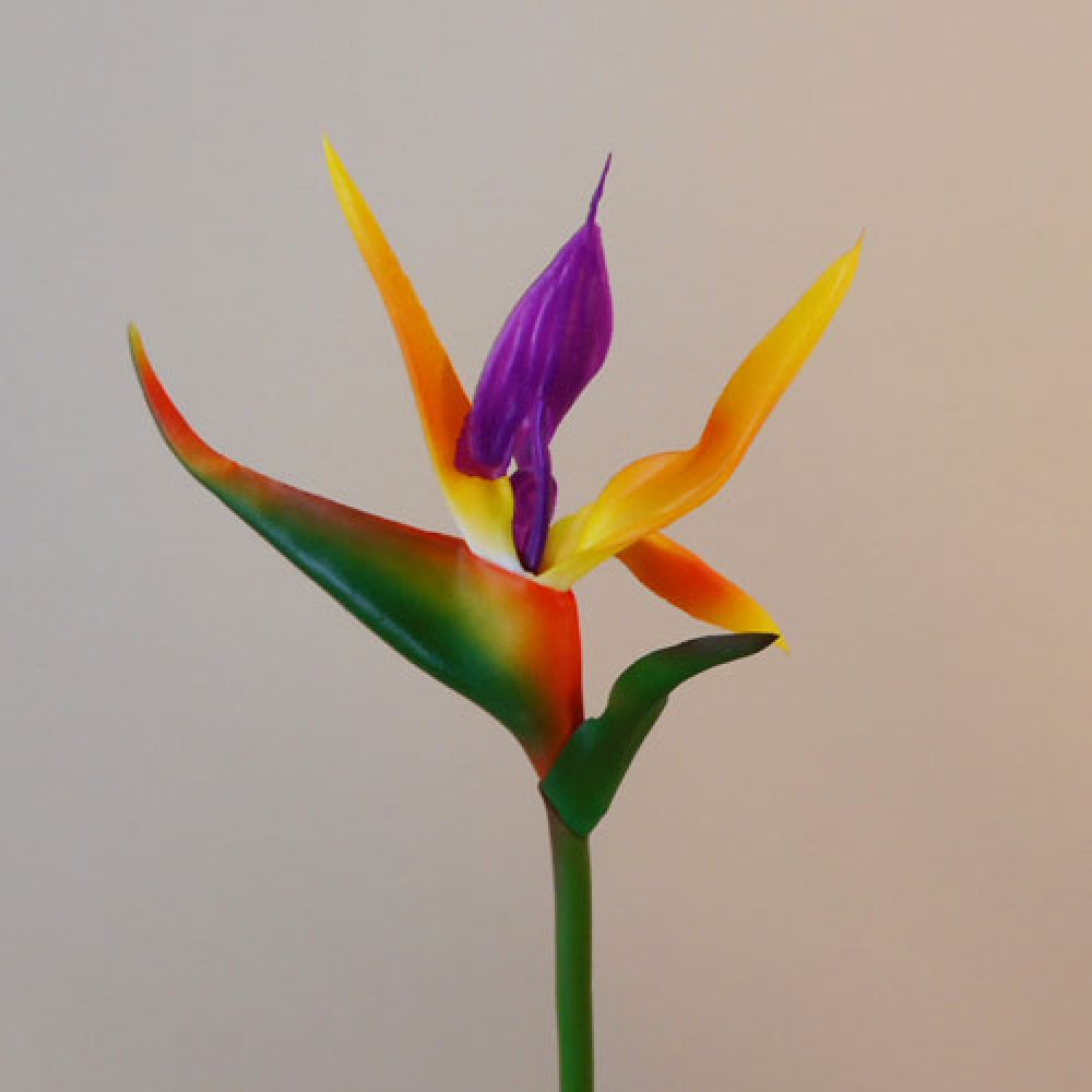 Artificial Birds of Paradise Small 63cm| Artificial Flowers